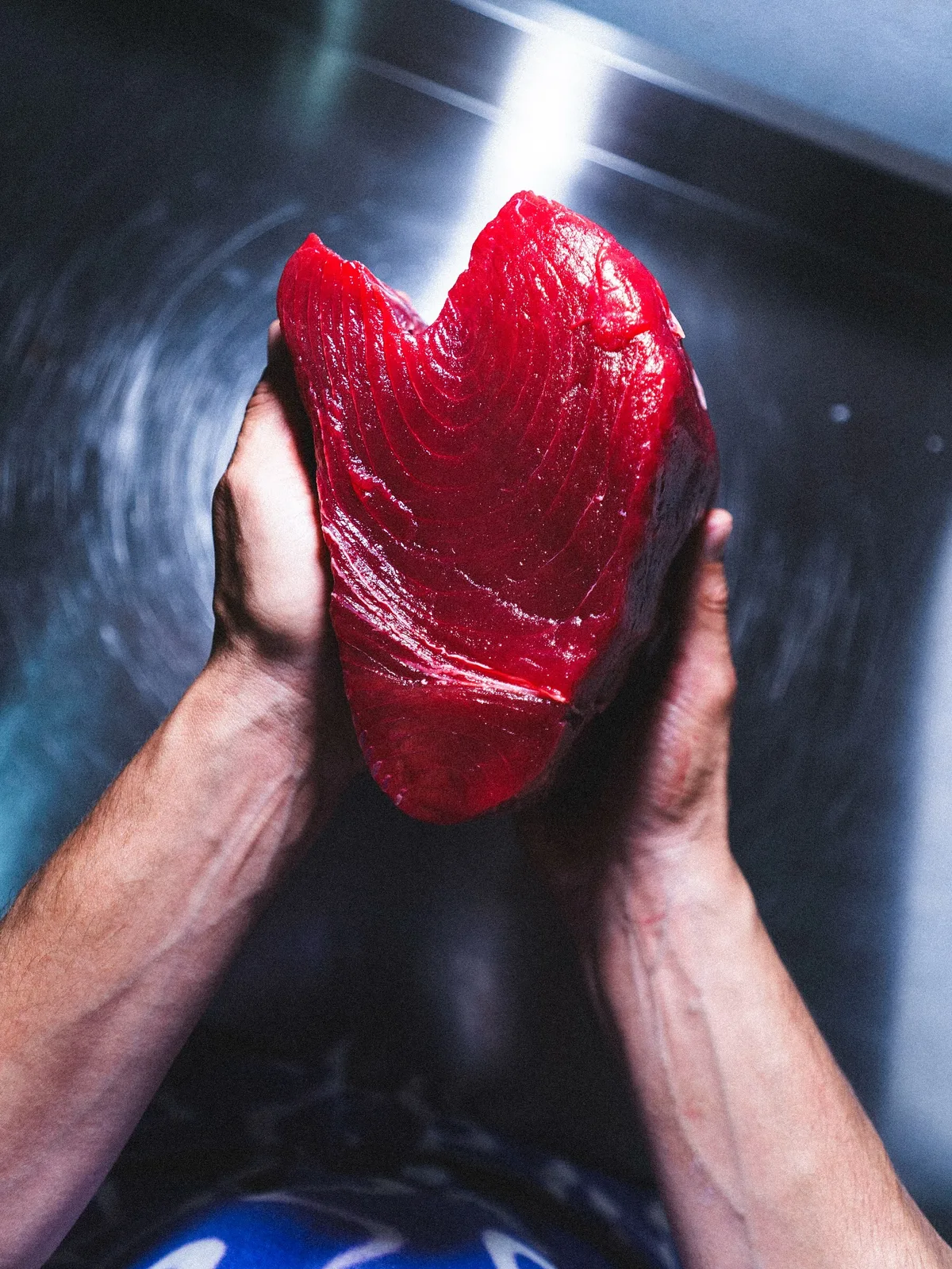 Lomo de Atún Rojo