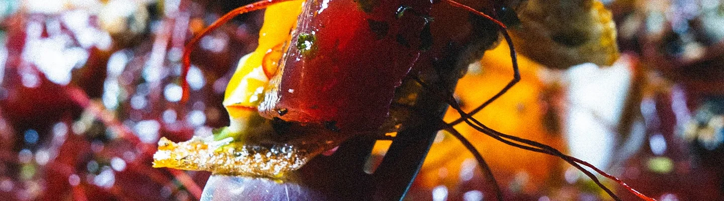 Driper Barra